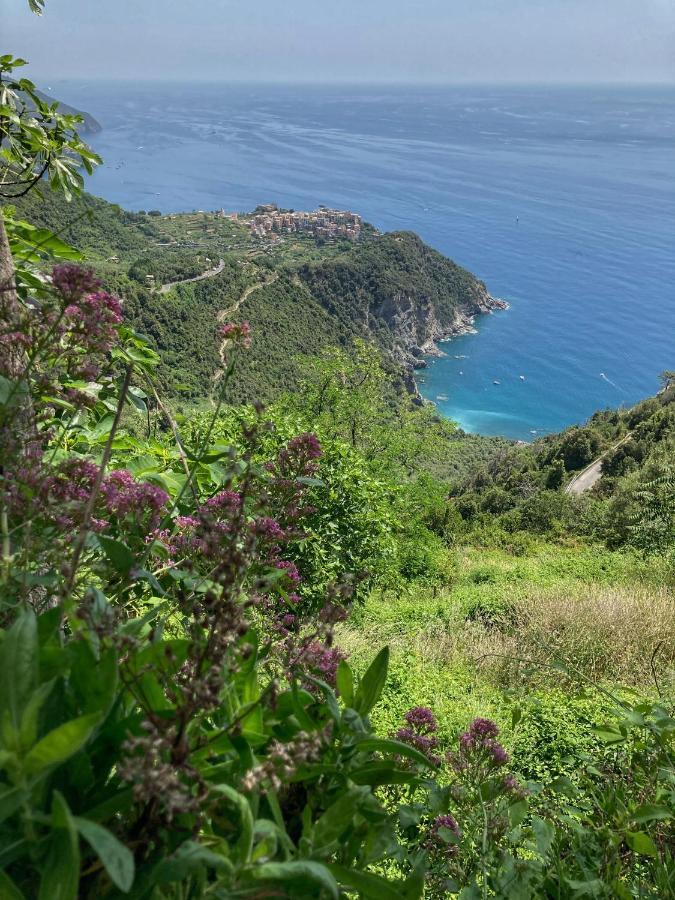 La Casa Rossa Arcola Con Vista 빌라 외부 사진