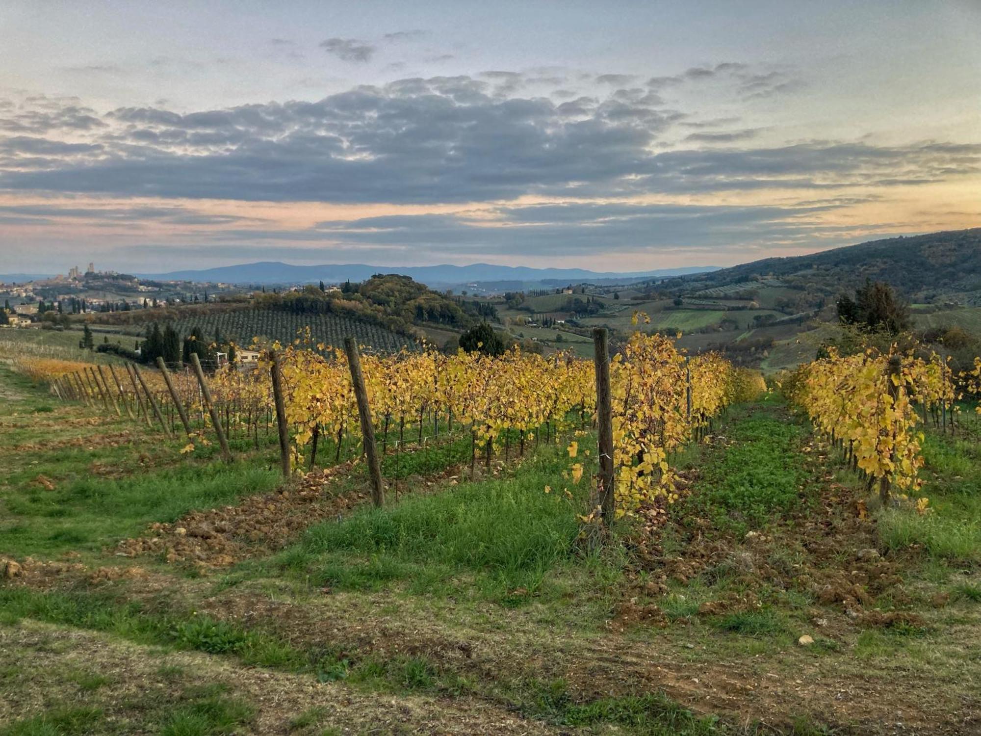 La Casa Rossa Arcola Con Vista 빌라 외부 사진
