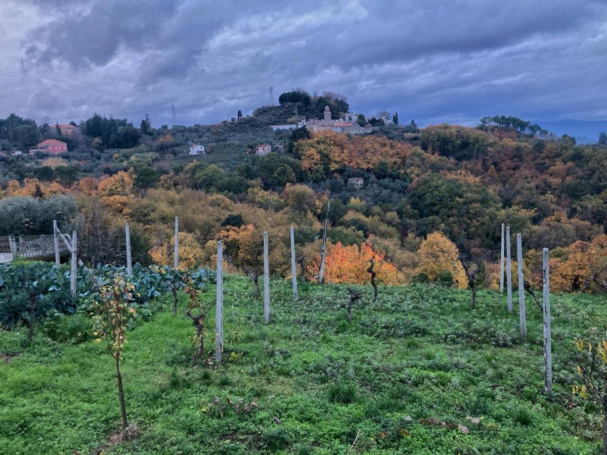 La Casa Rossa Arcola Con Vista 빌라 외부 사진